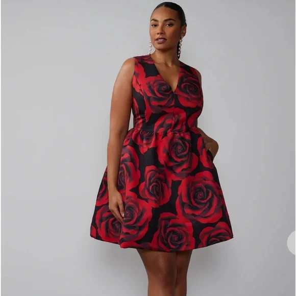 New York & Company | Dresses | New York Co Worn Once Mini Floral Bubble  Dress With Red Roses On Black | Poshmark